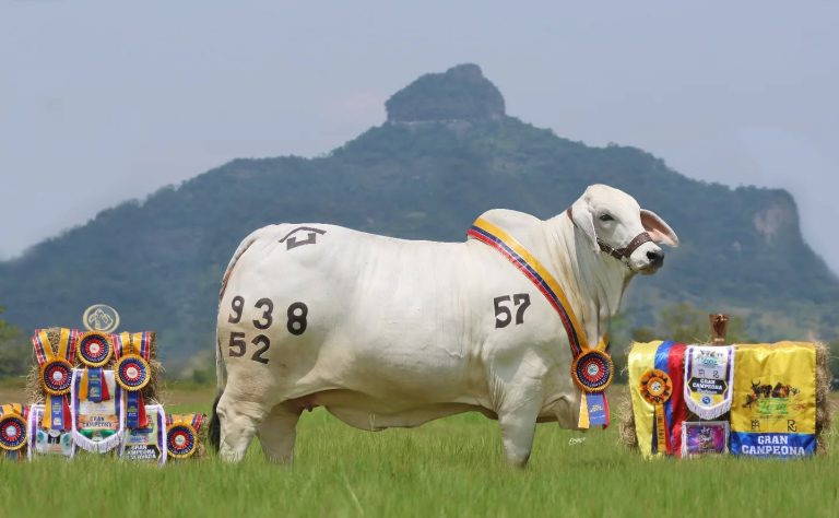 HPRG Entrevista al Campo de Caracol Radio